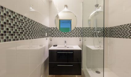 rénovation petite salle de bain