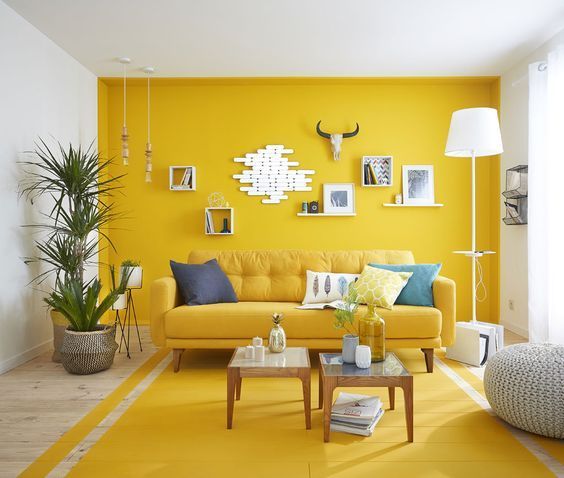 renovation salon